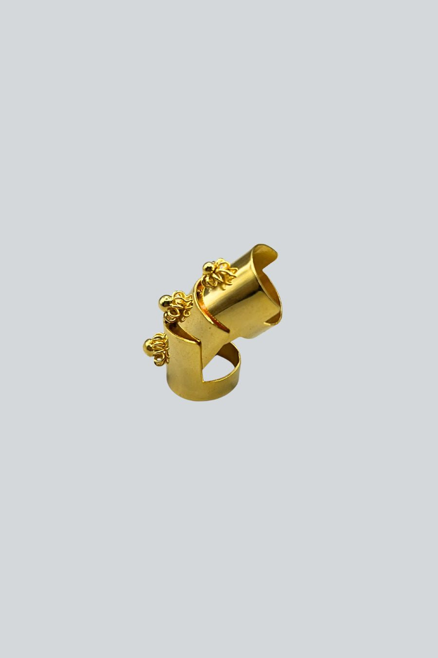 ANILLO DOBLE ARTICULACIÓN