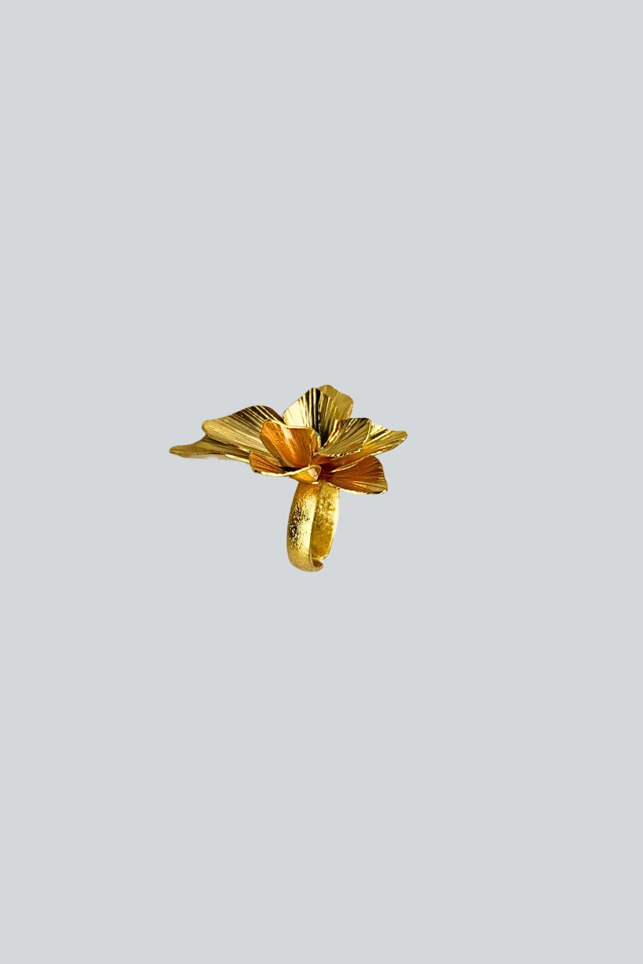 ANILLO FRALLEJON